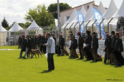 Remise des Prix 011.JPG - CHIENPLUS.COM